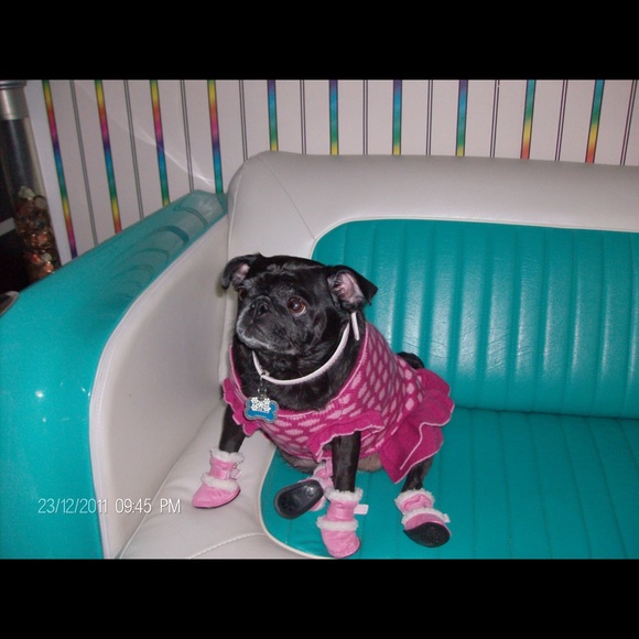 Meet your Posher, Mary - Picture 7 of 14